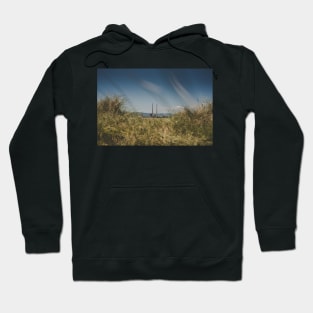 Pigeon House Chimneys Hoodie